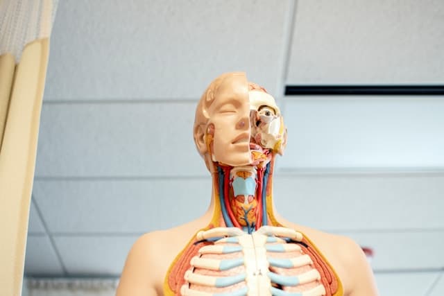 Comprehensive Biology for Secondary Education